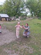 większy obrazek nr 7