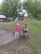 większy obrazek nr 8