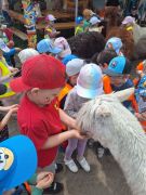 większy obrazek nr 44