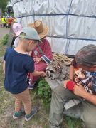 większy obrazek nr 49