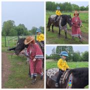 większy obrazek nr 52