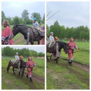 większy obrazek nr 60