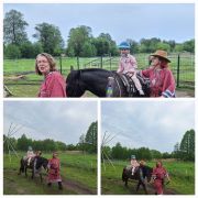 większy obrazek nr 69