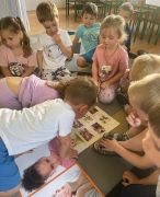 większy obrazek nr 5