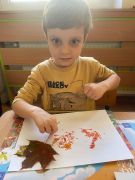 większy obrazek nr 14