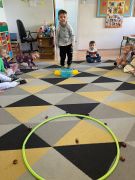 większy obrazek nr 9