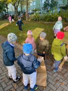 większy obrazek nr 5