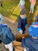 większy obrazek nr 7