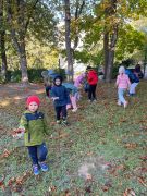 większy obrazek nr 8