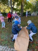 większy obrazek nr 16