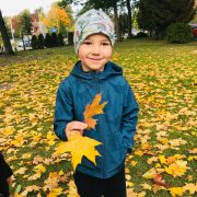 większy obrazek nr 17