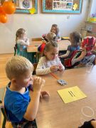 większy obrazek nr 22