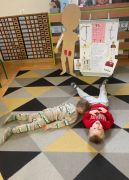 większy obrazek nr 16