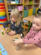 większy obrazek nr 2