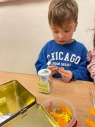 większy obrazek nr 12