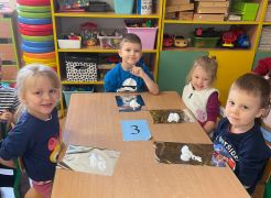 większy obrazek nr 3