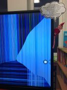 większy obrazek nr 5