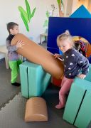 większy obrazek nr 12