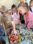 większy obrazek nr 6