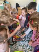 większy obrazek nr 9