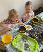 większy obrazek nr 4