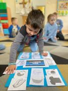 większy obrazek nr 16