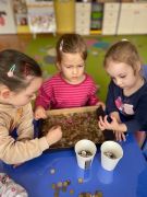 większy obrazek nr 8