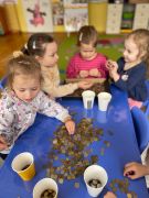 większy obrazek nr 9