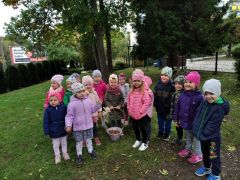 ilustracja do wpisu 
Zbieramy żołędzie