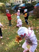 większy obrazek nr 1