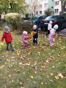 większy obrazek nr 2