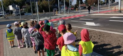 większy obrazek nr 3