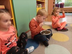 większy obrazek nr 7