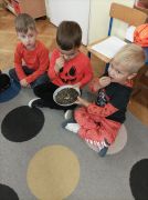 większy obrazek nr 9