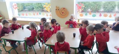 większy obrazek nr 8