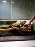 większy obrazek nr 4