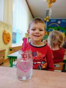 większy obrazek nr 1