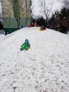 większy obrazek nr 1