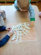 większy obrazek nr 1