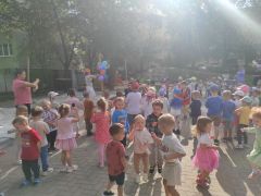 większy obrazek nr 5