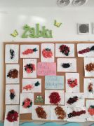 większy obrazek nr 11