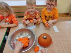 większy obrazek nr 21