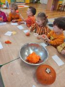 większy obrazek nr 25