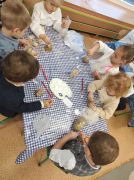 większy obrazek nr 3