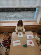 większy obrazek nr 18