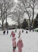 większy obrazek nr 2