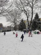 większy obrazek nr 3