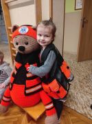 większy obrazek nr 13