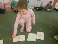 większy obrazek nr 5