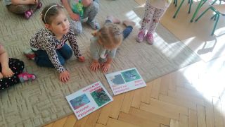 większy obrazek nr 6